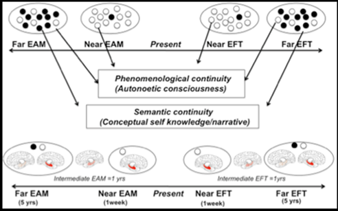  Figure. Integrative Framework of the Taxonomy of past and future thinking: TEDIFT model (La Corte & Piolino, 2016)  EAM: episodic autobiographical memory, EFT: episodic future thinking.                