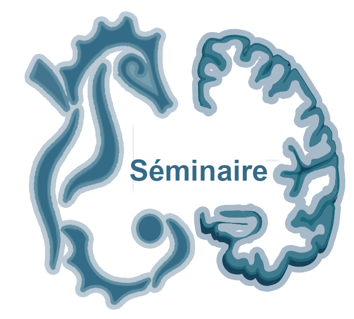 Séminaire  07/03/2025 : Processus cognitifs et réseaux cérébraux sous-tendant la théorie de l’esprit