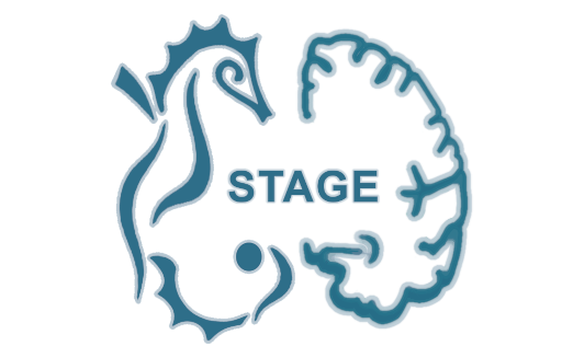 Stage : M2 ou césure (6 mois), prédiction de la trace mnésique en réalité virtuelle chez les jeunes adolescents et les personnes âgées